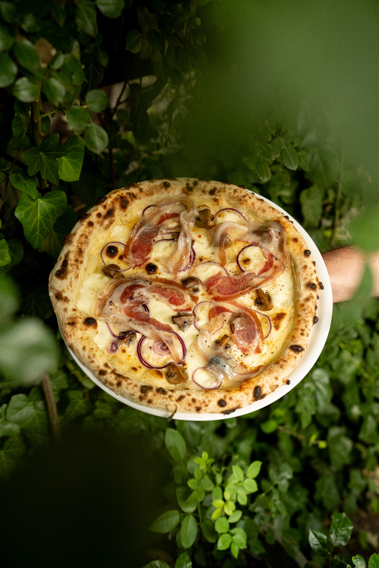 Pizza Smakosza z truflowym creme fraiche, salami napoli, stracciatellą, słodkimi peperoni, oliwą szczypiorkową i czerwoną cebulą z sumakiem — Brusco