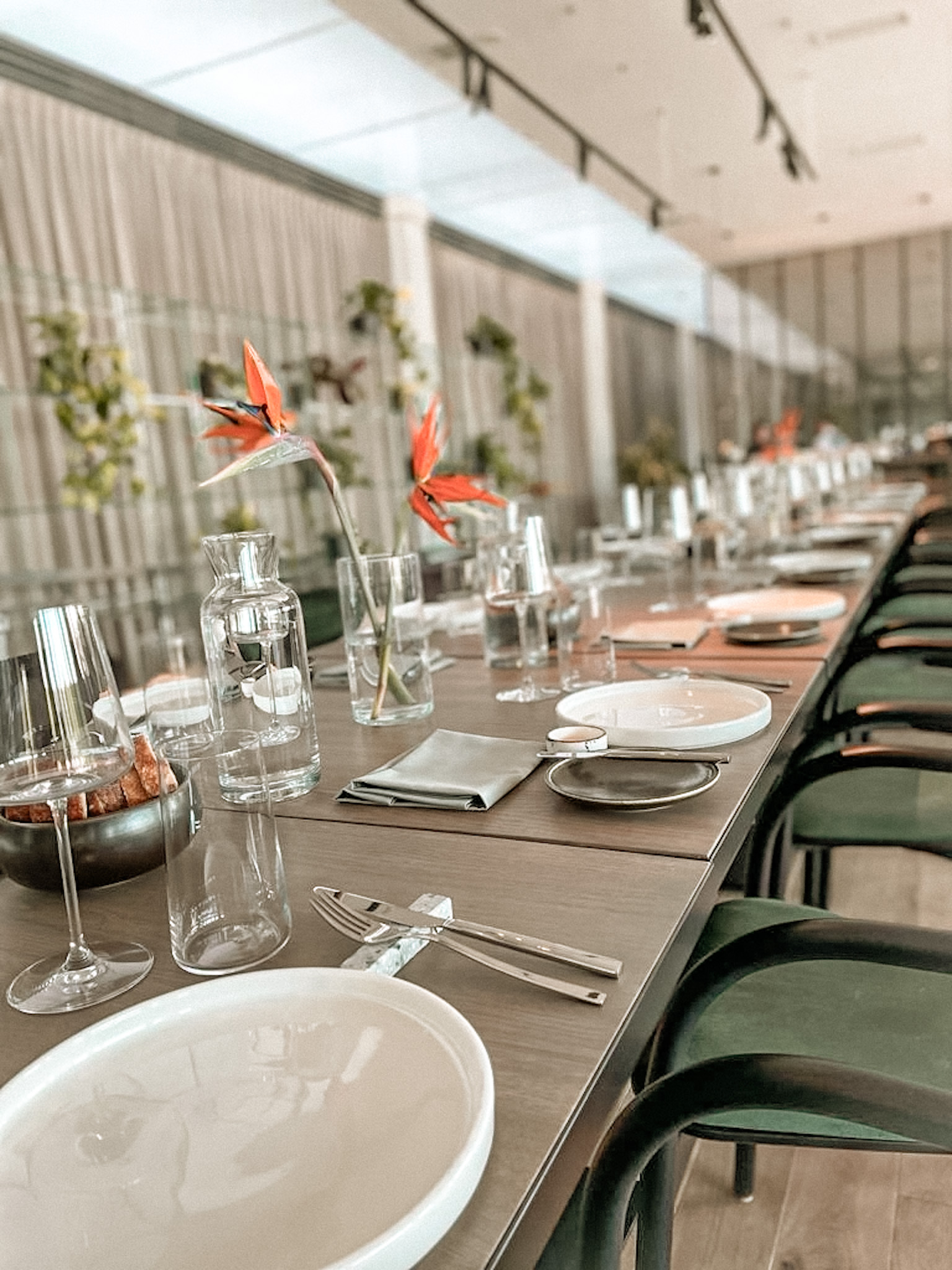 Restauracja Tarasowa - klejnot w koronie kompleksu wrocławskiej Hali Stulecia