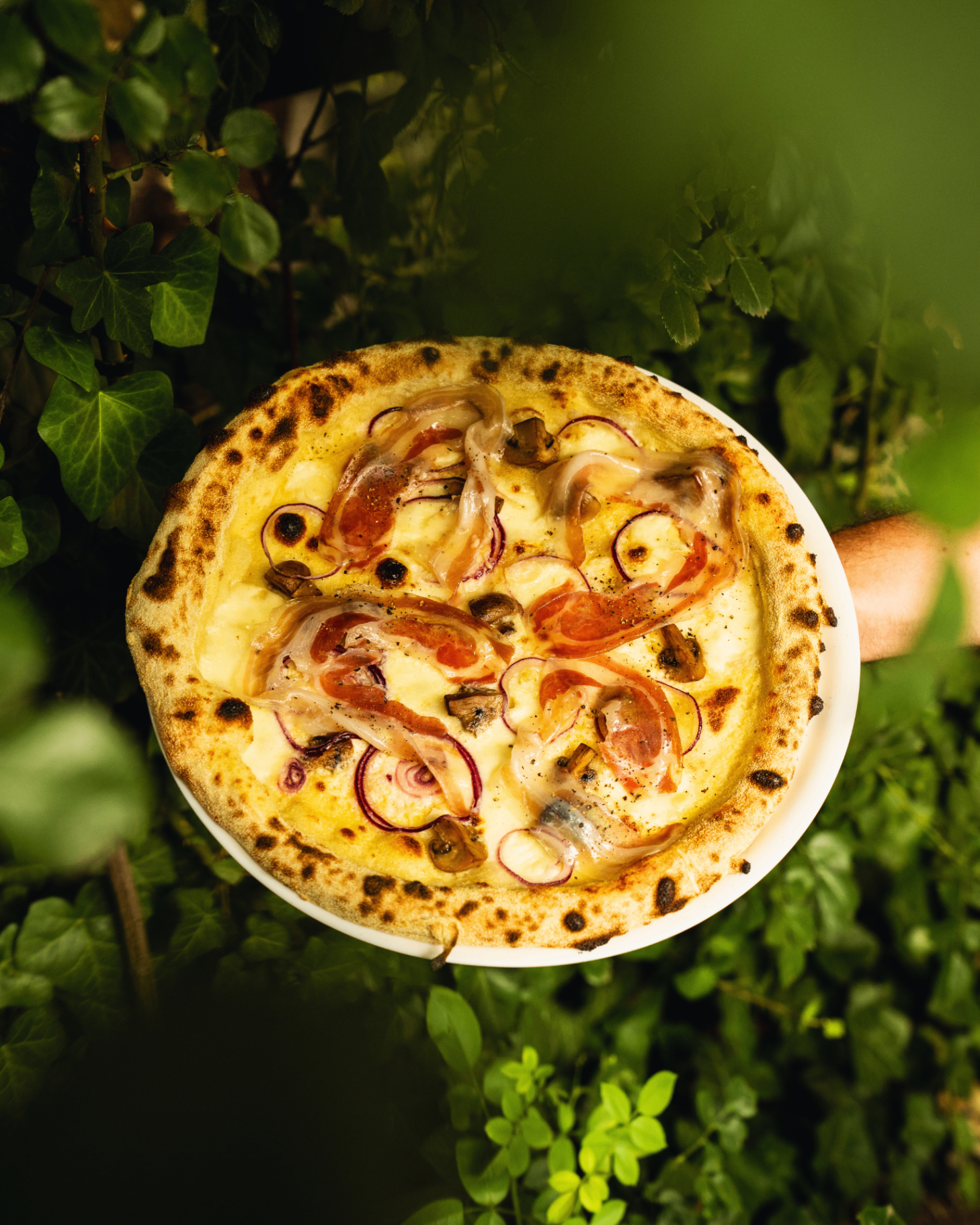 Pizza Smakosza z kremem z pecorino romano, mozarellą, pancettą piacentina DOP, pieczarkami, czosnkiem, cebulą i świeżo zmielonym pieprzem — Giro
